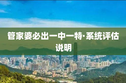 管家婆必出一中一特·系统评估说明