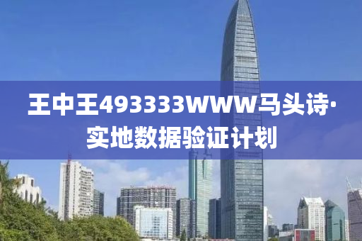 王中王493333WWW马头诗·实地数据验证计划