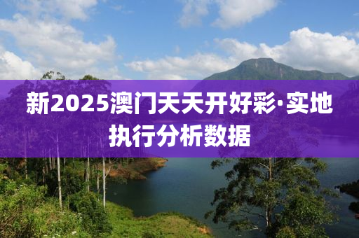 新2025澳门天天开好彩·实地执行分析数据