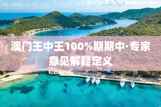 澳门王中王100%期期中·专家意见解释定义