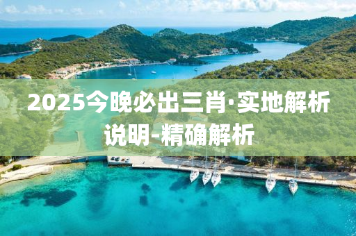2025今晚必出三肖·实地解析说明-精确解析