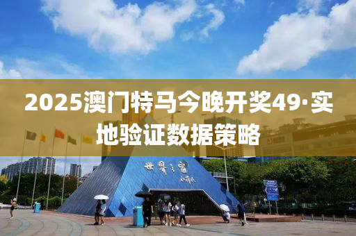 2025澳门特马今晚开奖49·实地验证数据策略