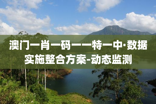 澳门一肖一码一一特一中·数据实施整合方案-动态监测