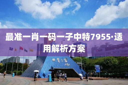 最准一肖一码一子中特7955·适用解析方案