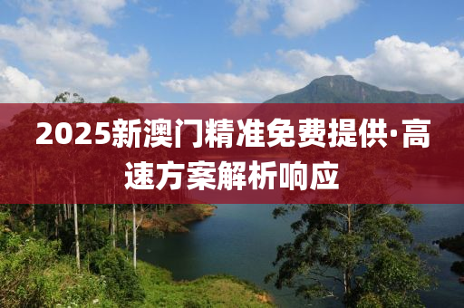 2025新澳门精准免费提供·高速方案解析响应