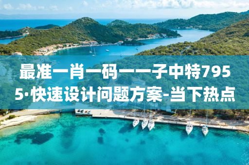最准一肖一码一一子中特7955·快速设计问题方案-当下热点