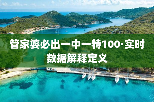 管家婆必出一中一特100·实时数据解释定义