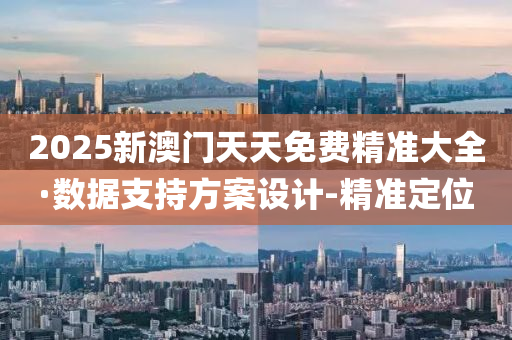 2025新澳门天天免费精准大全·数据支持方案设计-精准定位