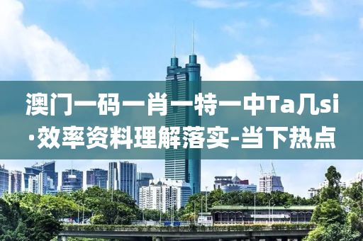 澳门一码一肖一特一中Ta几si·效率资料理解落实-当下热点