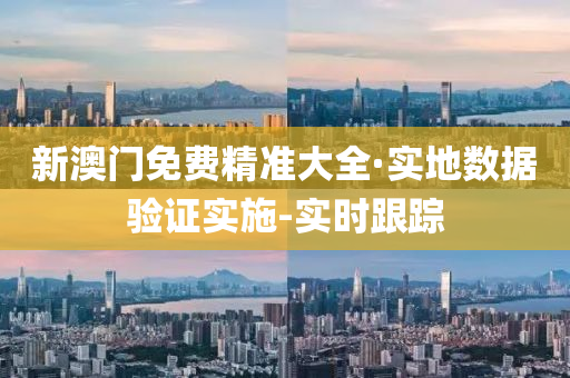 新澳门免费精准大全·实地数据验证实施-实时跟踪