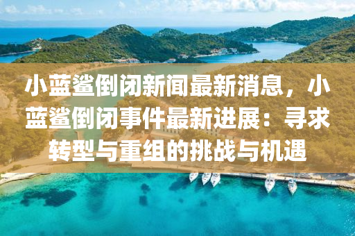 小蓝鲨倒闭新闻最新消息，小蓝鲨倒闭事件最新进展：寻求转型与重组的挑战与机遇