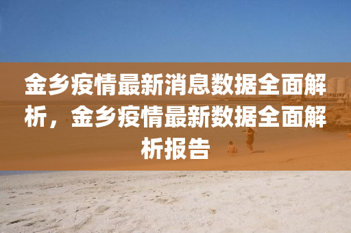 金乡疫情最新消息数据全面解析，金乡疫情最新数据全面解析报告