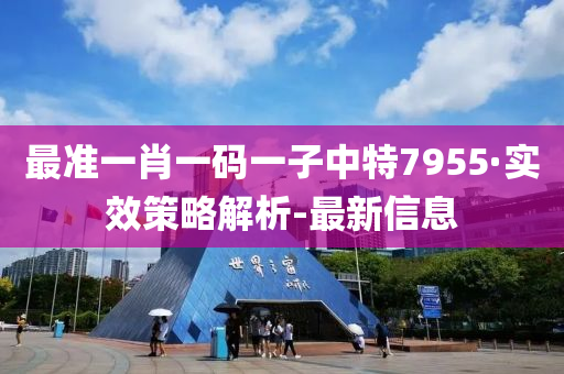 最准一肖一码一子中特7955·实效策略解析-最新信息