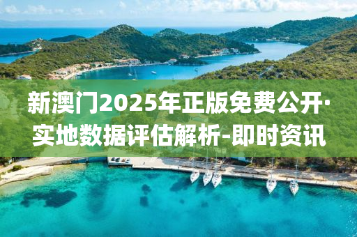 新澳门2025年正版免费公开·实地数据评估解析-即时资讯