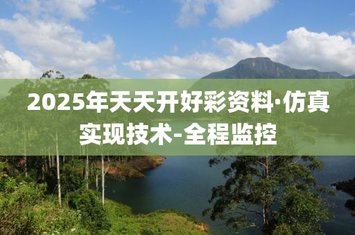 2025年天天开好彩资料·仿真实现技术-全程监控