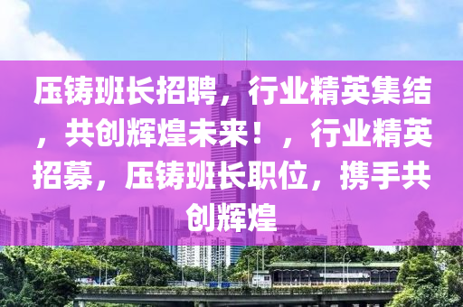 压铸班长招聘，行业精英集结，共创辉煌未来！，行业精英招募，压铸班长职位，携手共创辉煌