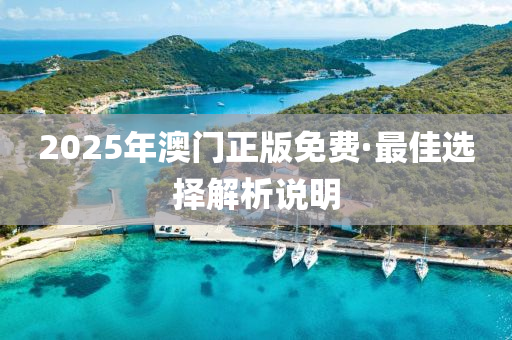 2025年澳门正版免费·最佳选择解析说明