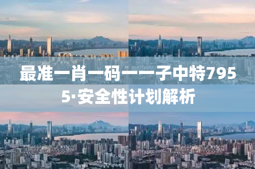 最准一肖一码一一子中特7955·安全性计划解析