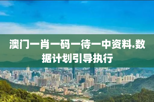 澳门一肖一码一待一中资料.数据计划引导执行