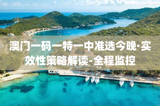 澳门一码一特一中准选今晚·实效性策略解读-全程监控