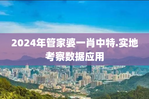 2024年管家婆一肖中特.实地考察数据应用