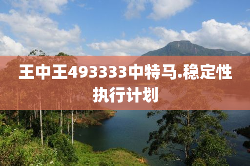 王中王493333中特马.稳定性执行计划