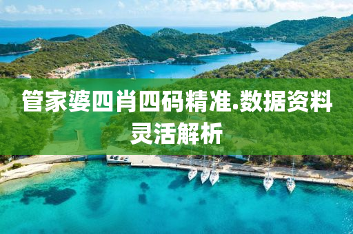 管家婆四肖四码精准.数据资料灵活解析