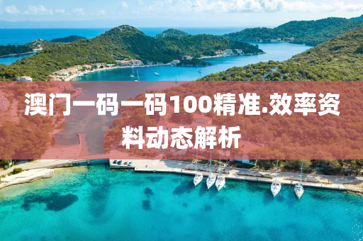 澳门一码一码100精准.效率资料动态解析