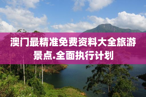 澳门最精准免费资料大全旅游景点.全面执行计划