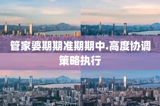 管家婆期期准期期中.高度协调策略执行