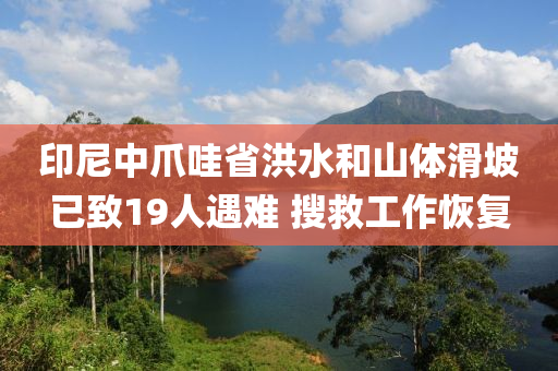 印尼中爪哇省洪水和山体滑坡已致19人遇难 搜救工作恢复