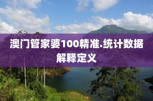 澳门管家婆100精准.统计数据解释定义