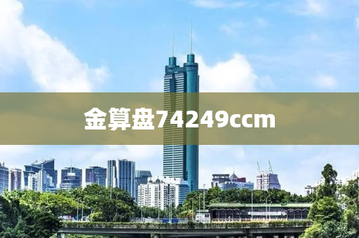 金算盘74249ccm
