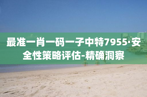 最准一肖一码一子中特7955·安全性策略评估-精确洞察