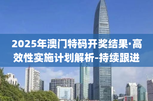 2025年澳门特码开奖结果·高效性实施计划解析-持续跟进
