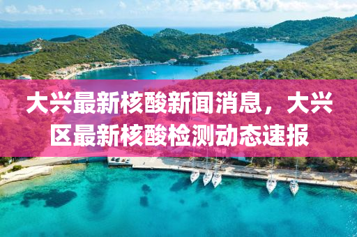 大兴最新核酸新闻消息，大兴区最新核酸检测动态速报