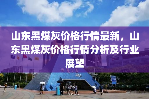 山东黑煤灰价格行情最新，山东黑煤灰价格行情分析及行业展望