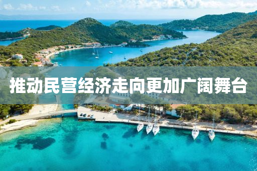 推动民营经济走向更加广阔舞台