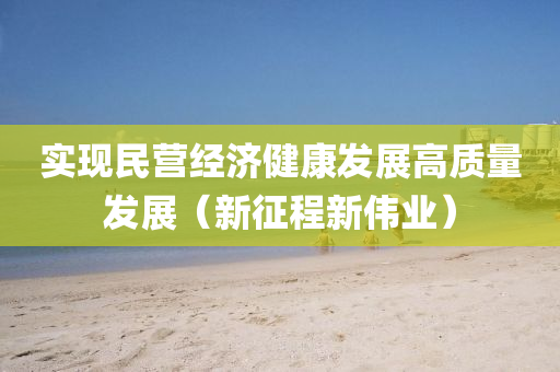 实现民营经济健康发展高质量发展（新征程新伟业）