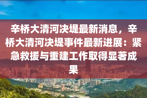 辛桥大清河决堤最新消息，辛桥大清河决堤事件最新进展：紧急救援与重建工作取得显著成果
