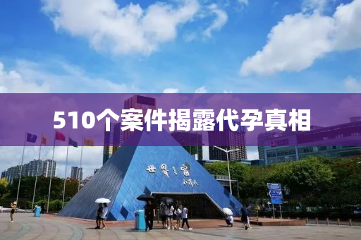 510个案件揭露代孕真相