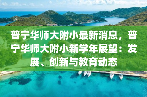 普宁华师大附小最新消息，普宁华师大附小新学年展望：发展、创新与教育动态