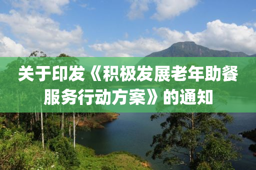 关于印发《积极发展老年助餐服务行动方案》的通知