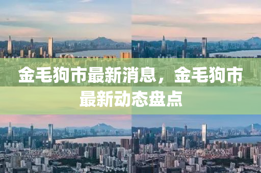 金毛狗市最新消息，金毛狗市最新动态盘点