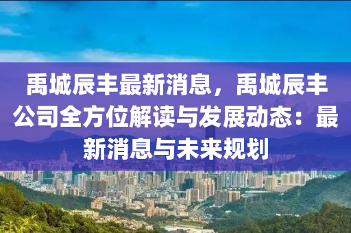 禹城辰丰最新消息，禹城辰丰公司全方位解读与发展动态：最新消息与未来规划