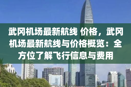 武冈机场最新航线 价格，武冈机场最新航线与价格概览：全方位了解飞行信息与费用