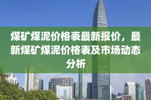 煤矿煤泥价格表最新报价，最新煤矿煤泥价格表及市场动态分析