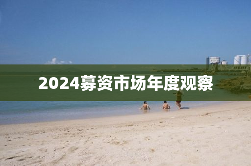 2024募资市场年度观察