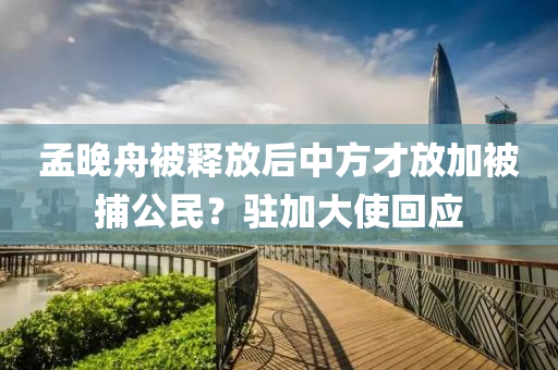 孟晚舟被释放后中方才放加被捕公民？驻加大使回应