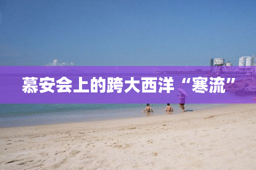 慕安会上的跨大西洋“寒流”